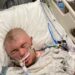21-Year-Old Man Ended Up In A Coma After Being Stung By Raging Bees 20,000 Times (Photos)