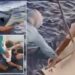 Fisherman Survives By Floating In Freezer For 11 Days Without Food And Water After His Boat Sank In Ocean (Video)