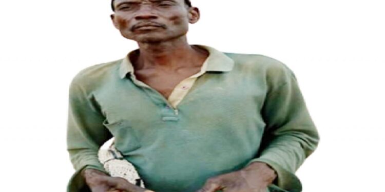 Commotion As Native Doctor Who Was About To Be Buried Suddenly Walks Out Of His Casket In Nasarawa