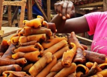 Federal Government Plans To Ban ‘Ponmo’