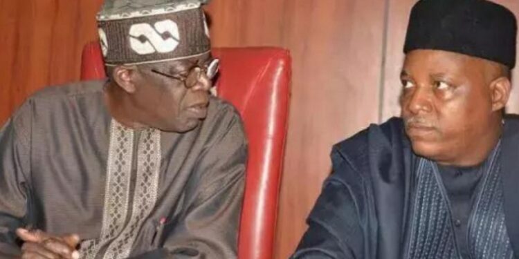 2023: They Are Plotting To Get Rid Of Tinubu, Make Shettima President – Awolowo’s Daughter (Video)