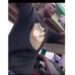“We Are Collecting Our Father’s Money” – Young Man Who Joined Oyo Protest Against EFCC Explains Why They Commit Internet Fraud (Video)