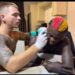 Singer, Portable Almost Breaks Down In Tears While Getting A Face Tattoo (Video)