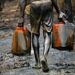 Illegal Oil Bunkering: More Than 40 Tapping Points Uncovered In Delta, Bayelsa