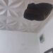Thieves Entered My Shop Through Ceiling And Stole Everything Inside – Lady Cries Out (Video)