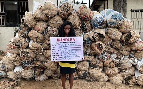 Shock As NDLEA Arrests Female Drug Dealer With 78 Bags Of Cannabis (Photo)