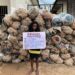 Shock As NDLEA Arrests Female Drug Dealer With 78 Bags Of Cannabis (Photo)