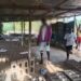 Tragedy As Nigerian Man Commits Su#cide Over Hunger And Rejection From His Family (Photo)