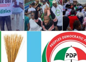 2023: APC, PDP React To Obidients’ Rallies