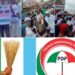2023: APC, PDP React To Obidients’ Rallies