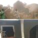Man Demolishes Houses He Built For His Wife And Her Mother After She Dumped Him For Another Man (Video)