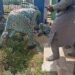 Retiree Collapses As Pensioners Protest Non-payment Of Benefits (Photos)