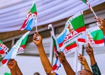 Drama As Swarm Of Bees Disrupts APC Rally
