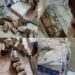 Bags of Damaged Naira Notes Discovered Weeks After CBN Unveiled Newly Re-designed N200, N500 and N1000 Notes (Video)