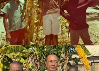 Three Friends Recreate Childhood Photo Almost 40 Years Later