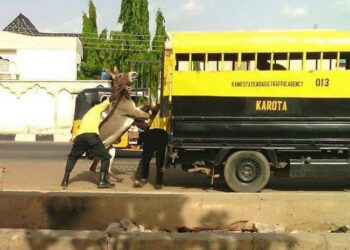 Straying Donkey ‘Arrested’ By Men Of Kano State Road Traffic Agency