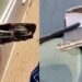 “There Is Hope In Nigeria” – Man Says After Driver Who Broke His Car Side Mirror Left Contact Number (Video)