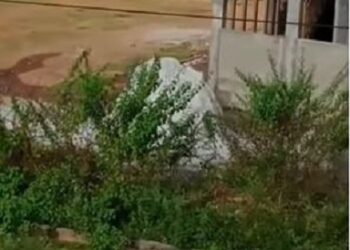 Shocking Moment Leopard Attacked Man On Motorbike In Broad Daylight (Video)