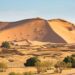 Many Nigerians Seeking Greener Pastures Died From Snakebites In Saharan Desert – Survivor Recounts