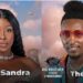 BBTitans: Sandra, Theo Evicted From Reality Show