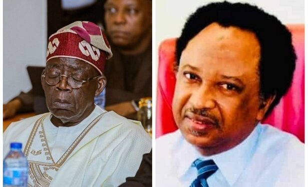 Shehu Sani Reacts As Tinubu Sleeps During Presidential Candidates Meeting