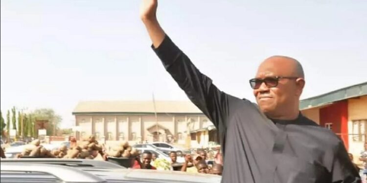 Peter Obi Wins In A Polling Unit In Zaria (Video)