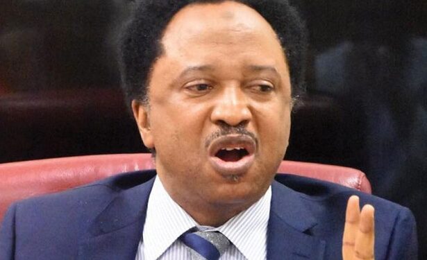 Senator Shehu Sani Adopts A Child Abandoned By The Roadside (Photo)