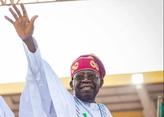 #NigeriaDecides2023: Tinubu Leads In Ekiti Presidential Polls