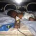 Mum Shows Off Shocking Transformation Of Son Who Was Born Prematurely (Video)