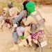 Nasarawa: Bandits Kidnap School Children Hours To 2023 Election