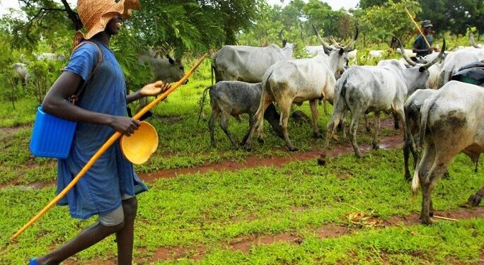 Anambra People No Longer Rent Houses To Us – Fulani Herdsmen Lament