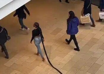 Mixed Reactions As Lady Storms Mall With Long Braids (Video & Comments)