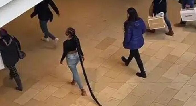 Mixed Reactions As Lady Storms Mall With Long Braids (Video & Comments)