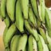 Man Spends 12 Months In Prison Without Trial Over Uncle’s Stolen Plantain