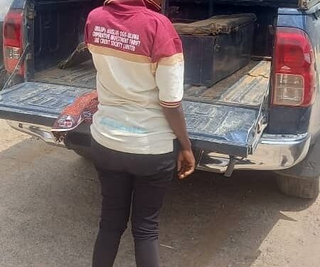 NSCDC Arrests Woman For Stealing Tomatoes And Peppers In Kwara