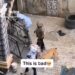 Landlord Unleashes His Dog On His Tenant For Owing Him N45,000 (Video)