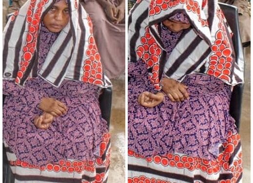 Woman Masterminds Kidnap Of Her 6-year-old Nephew In Kano, Collects N5m Ransom (Photos)