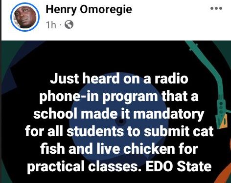 Secondary School Allegedly Ask All Students To Submit Cat Fish And Live Chickens For ‘Practical Classes’