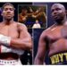 Anthony Joshua Vs Whyte Bout In August Might Not Hold Over Financial Issues