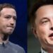 Elon Musk, Zuckerberg Agree To Engage In A Cage Fight