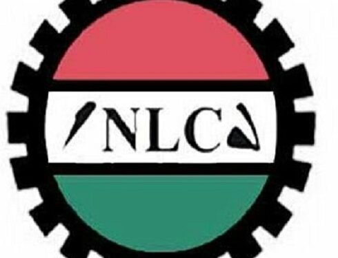 Susidy Removal: Why We Did Not Embark On Nationwide Strike – NLC