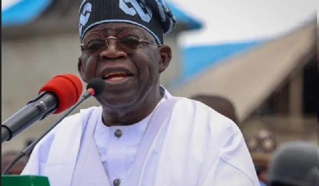 Bola Tinubu Sends First Sallah Message To Muslims As President