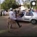 Fuel Subsidy: University of Maiduguri Student Arrives At Campus On A Donkey As Transport Fares Skyrocket