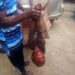 Tragedy As Dog Mauls Owner’s 4-Year-Old Son To D£ath in Rivers