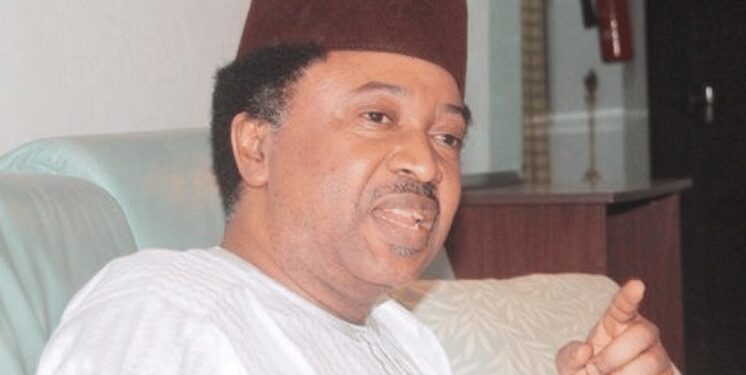 Niger: Shehu Sani Lists 5 Factors Responsible For Coups In West Africa