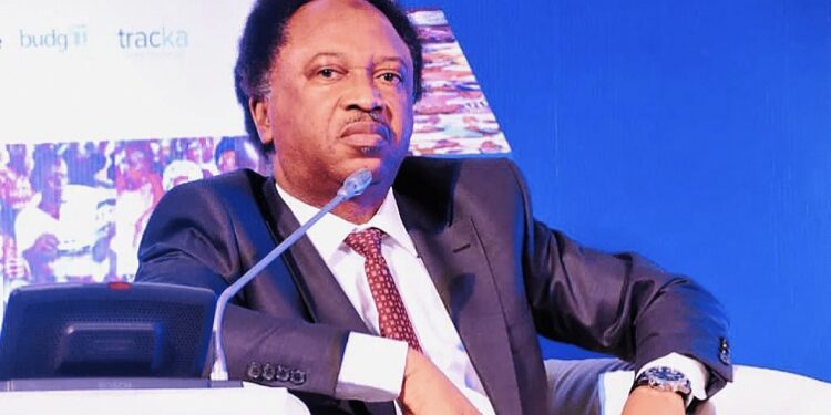 Only God Can Save Tinubu If He Loses Presidential Appeal – Shehu Sani