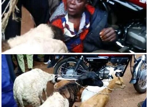 Suspected Goat Thief Disgraced After He Was Caught In Osun (Photos)