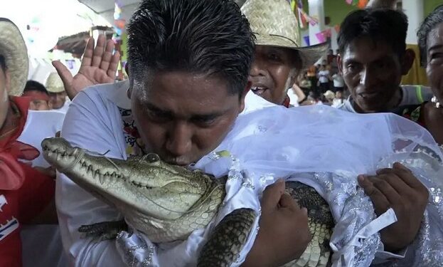 Mexican Mayor Weds Crocodile (Video)