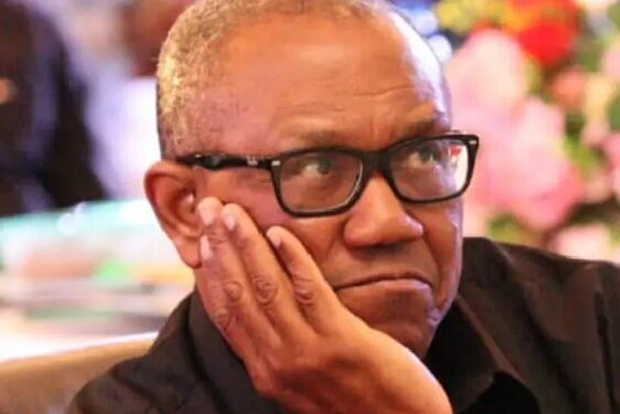 “We Made A Mistake To Have Fielded You As Presidential Candidate” – Apapa-Led NWC Birthday Message To Peter Obi @62