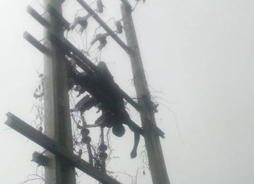 Suspected Electric Cable Vandal Gets Electrocuted In Delta (Photos)